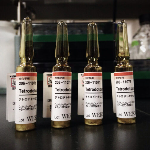 Tetrodotoxin Poison